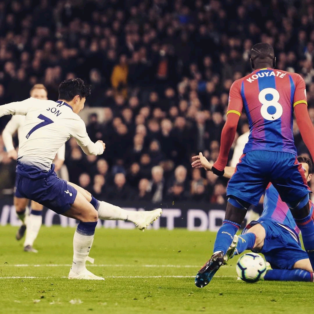 为我们揭示 为我们揭示